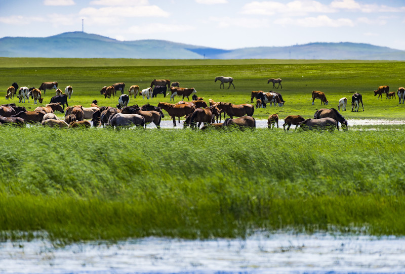 小巷深处，内蒙古风情画卷