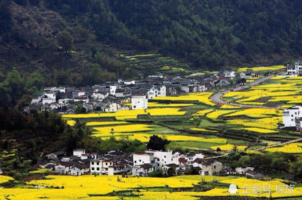 江西任务完成与技能学习指南，详细步骤攻略